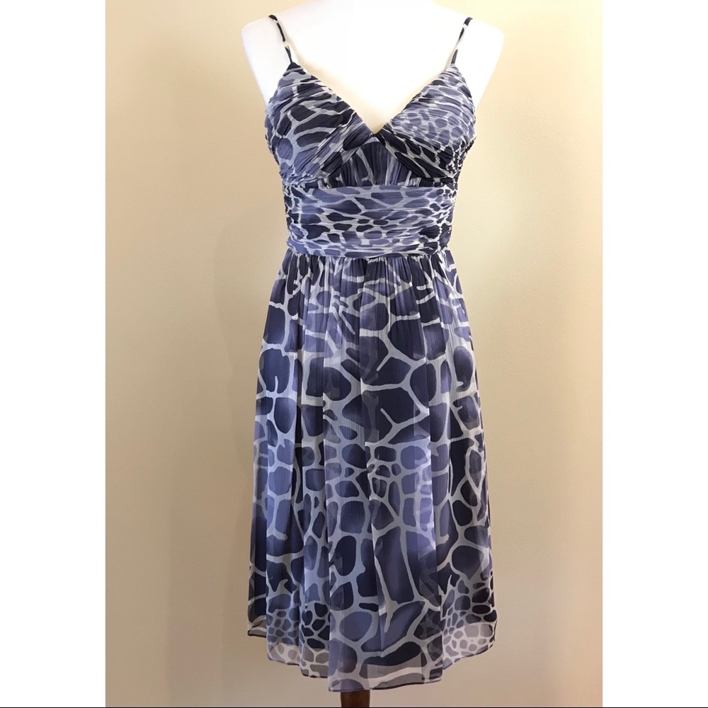 MAX AND CLEO dress